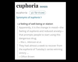 euphoria Lyrics