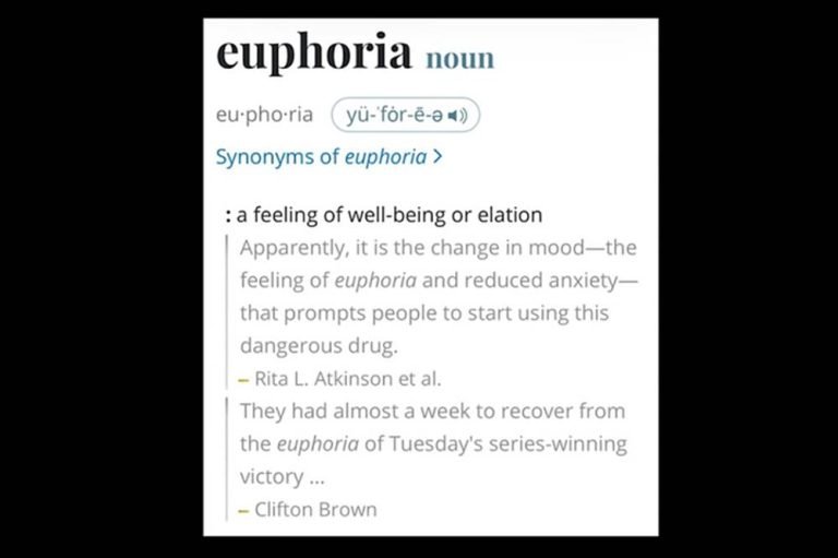 euphoria Lyrics