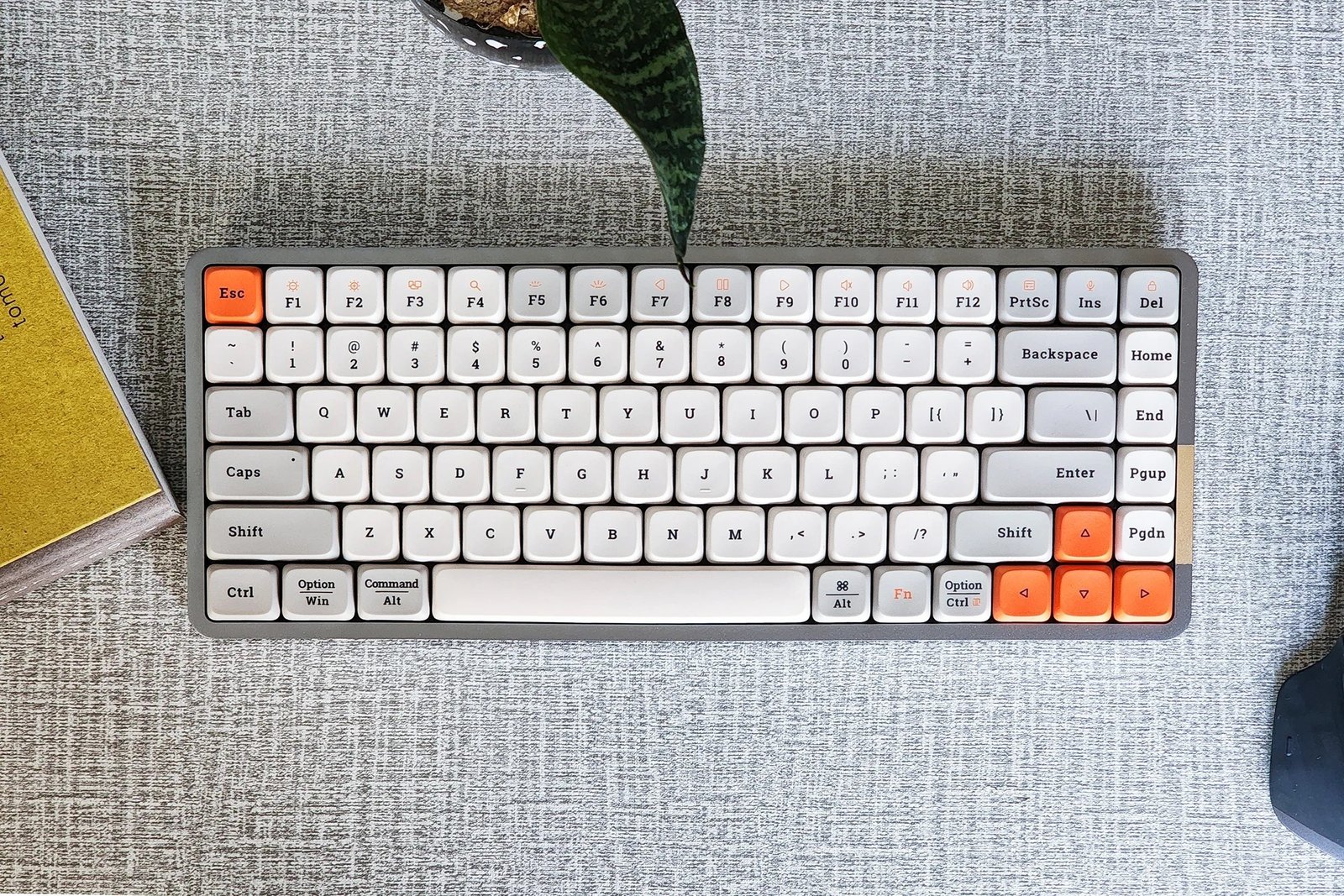 Lofree FLOW Mechanical Keyboard Review: The Best Low-Profile Keyboard for Typing Comfort and Portability