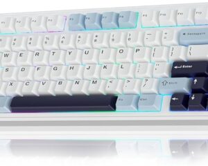 Aula F75 Mechanical Keyboard