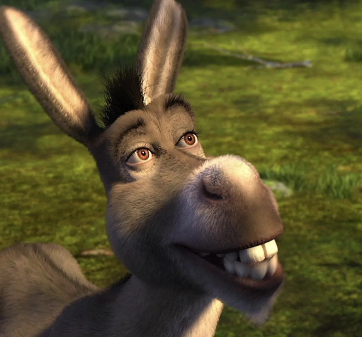 Donkey That Inspired Eddie Murphy’s Character in Shrek Dies at 30