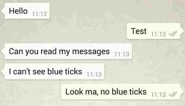 What Does One Grey Check Mark (✓) Mean on WhatsApp?