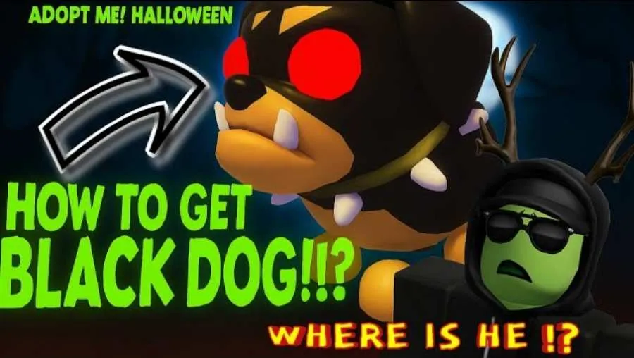 How to Get the New Rare Pet Black Dog in Adopt Me Halloween Update 2025