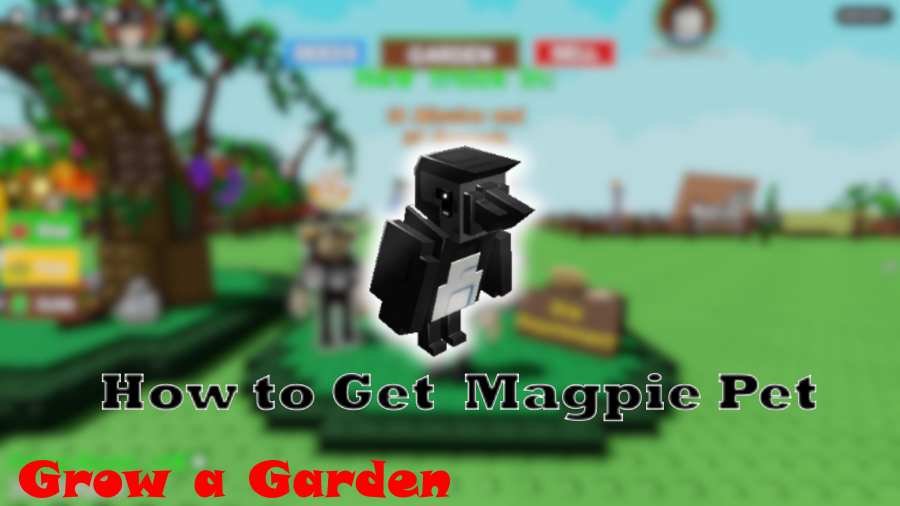 How to Get the Magpie Pet in Grow a Garden