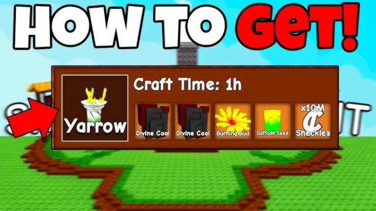 How to Get the Yarrow Seed in Grow A Garden