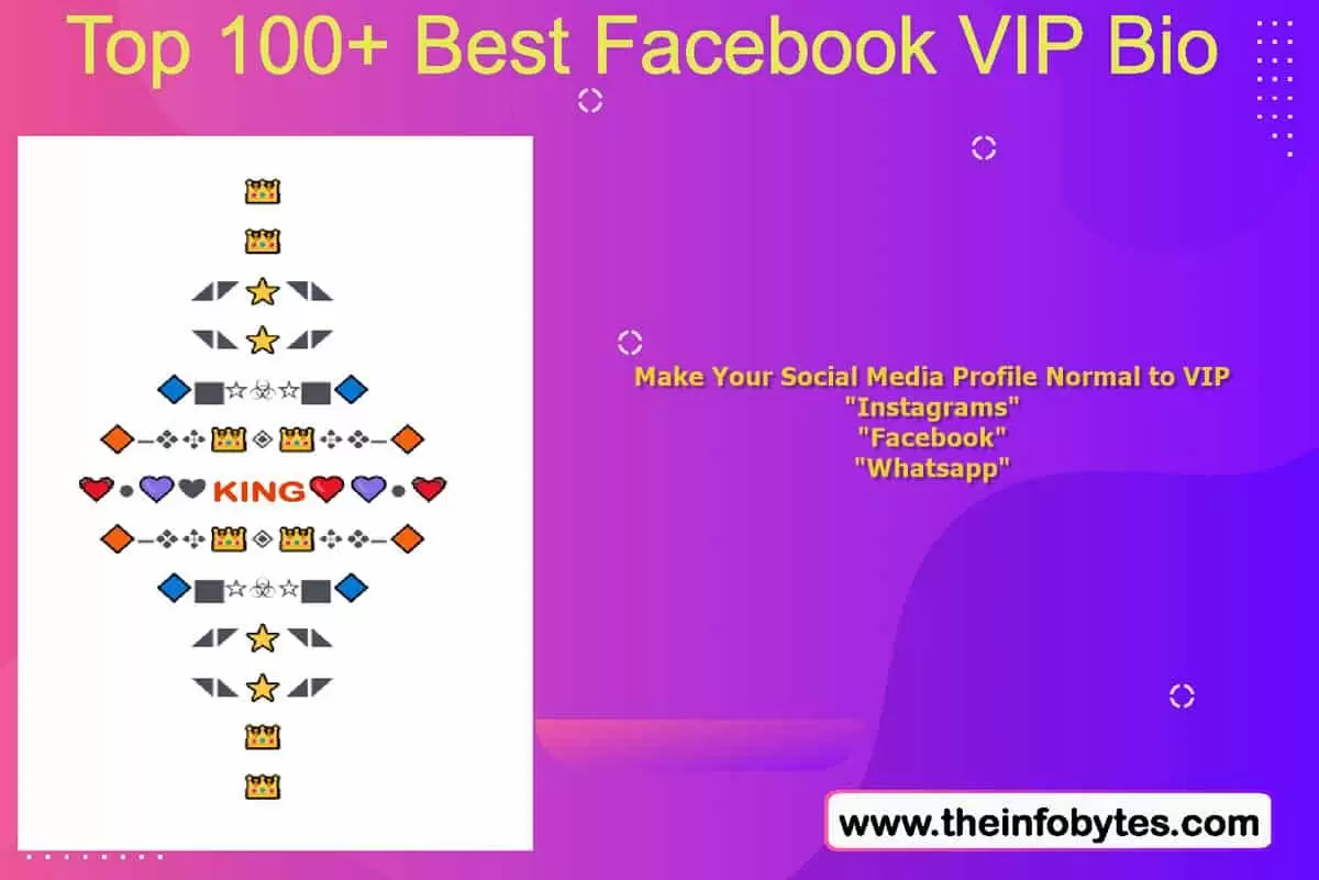 VIP Stylish Bio for Facebook Profile 2024